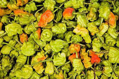 《绝地求生》将在2025年末升级为虚幻5 画面更出色